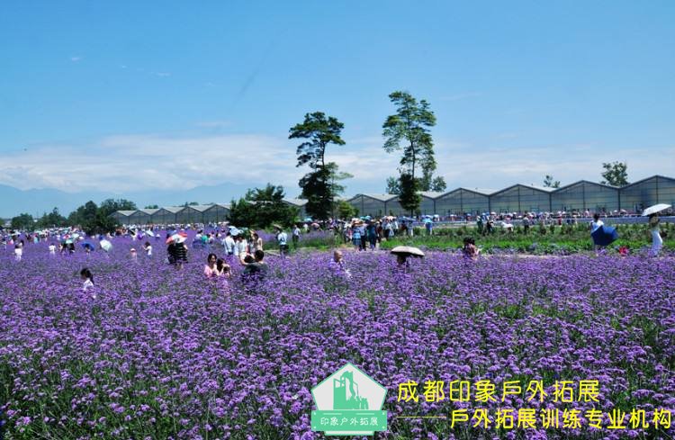 成都拓展培訓基地