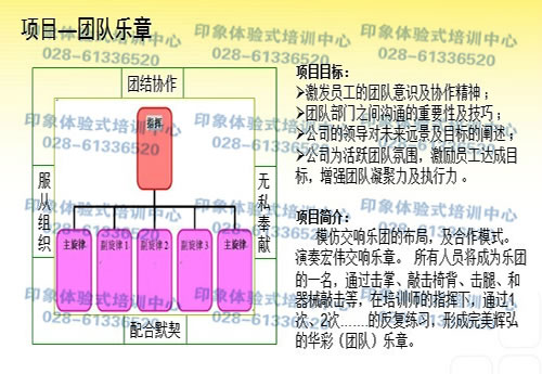 戶外拓展項(xiàng)目-團(tuán)隊(duì)樂章